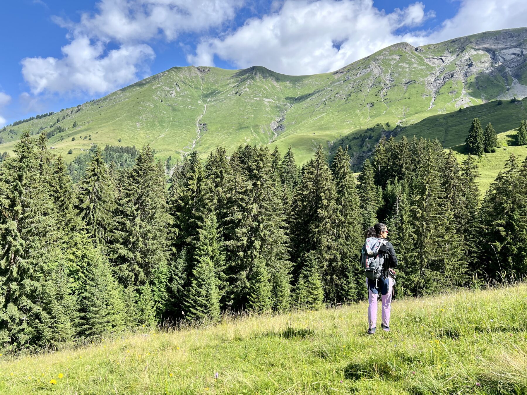 Berglandschap Morzine met persoon