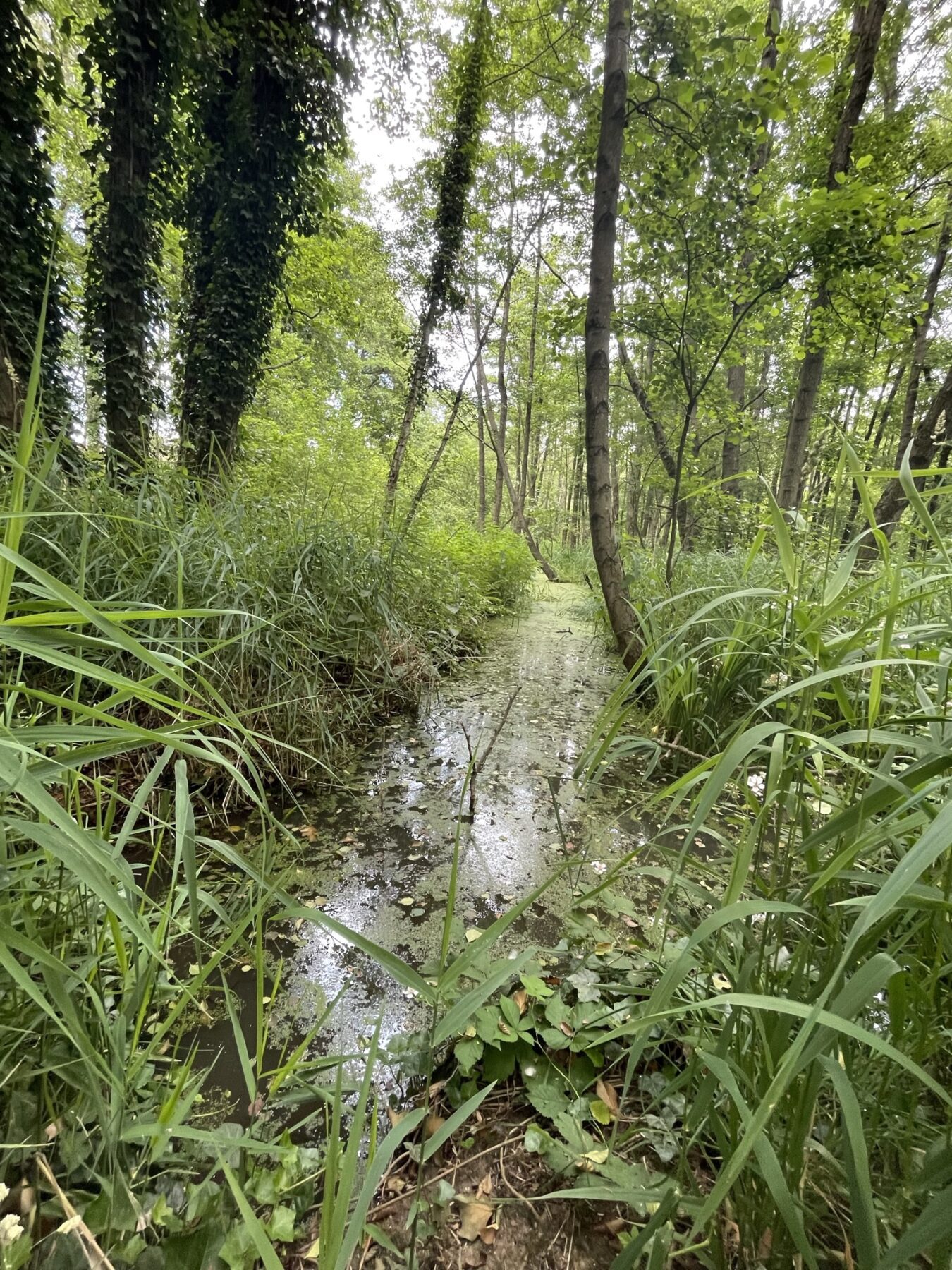 Waterwegen in Hoge Kempen