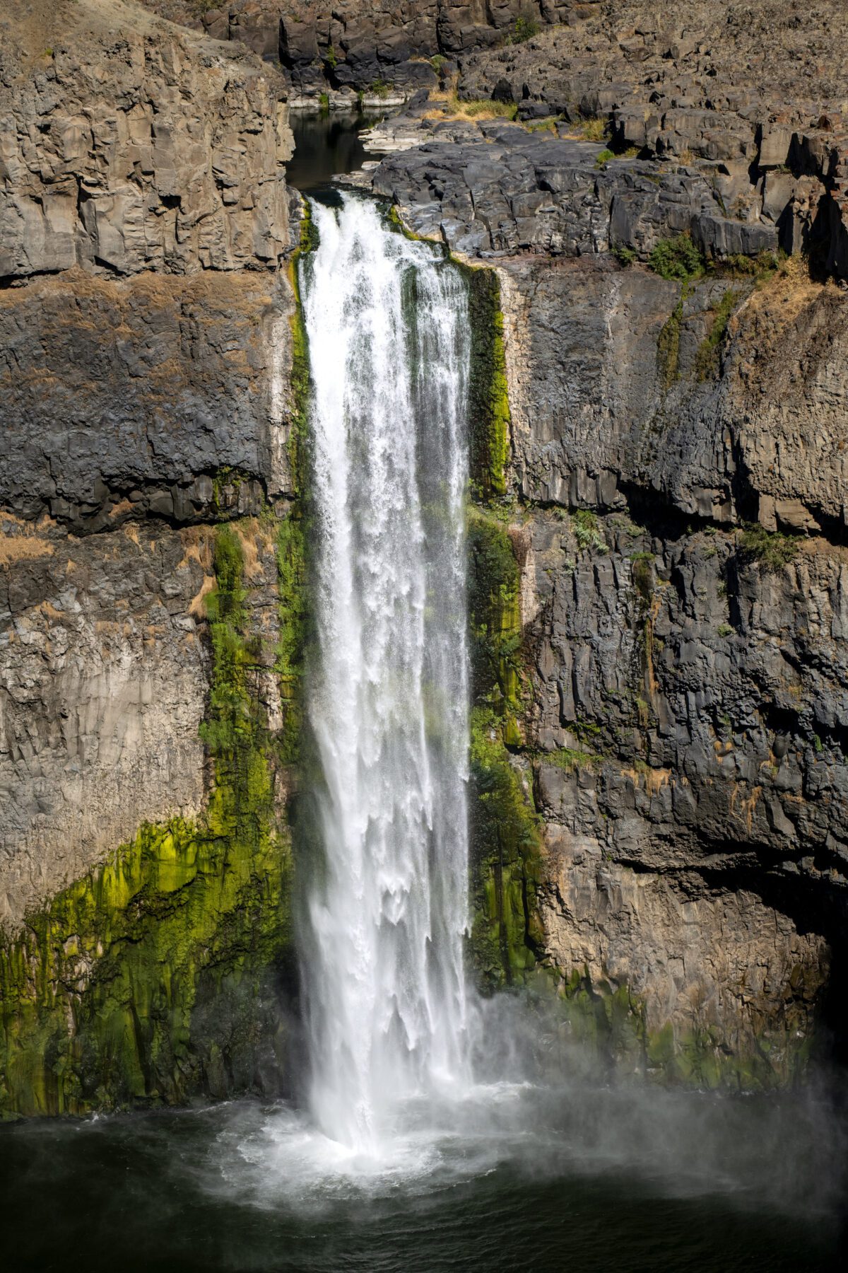 Palouse is een van de minder bekende plekken in Amerika