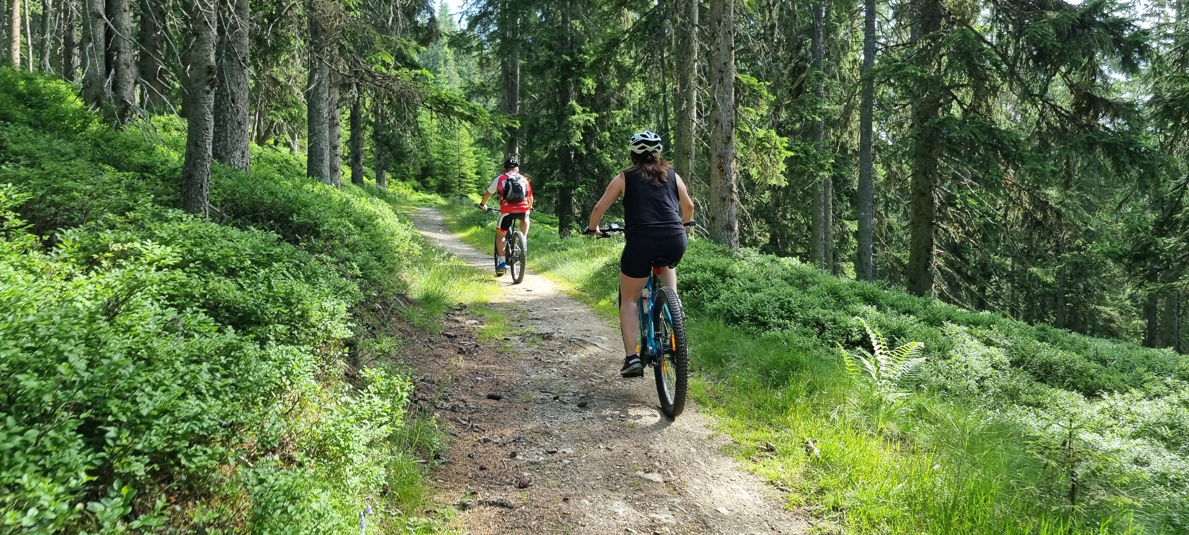 Zomerse activiteiten in Salzburgerland Mountainbiking de Stoneman Taurista Challenge