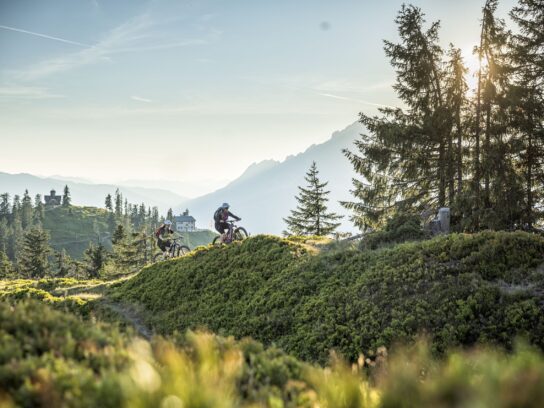 Fiets de Stoneman Taurista Mountainbike Challenge