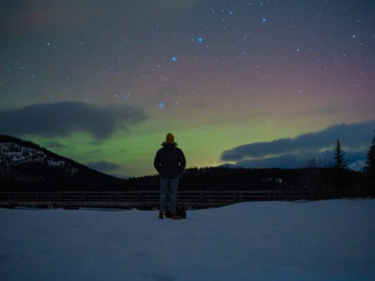 Alberta in de winter header