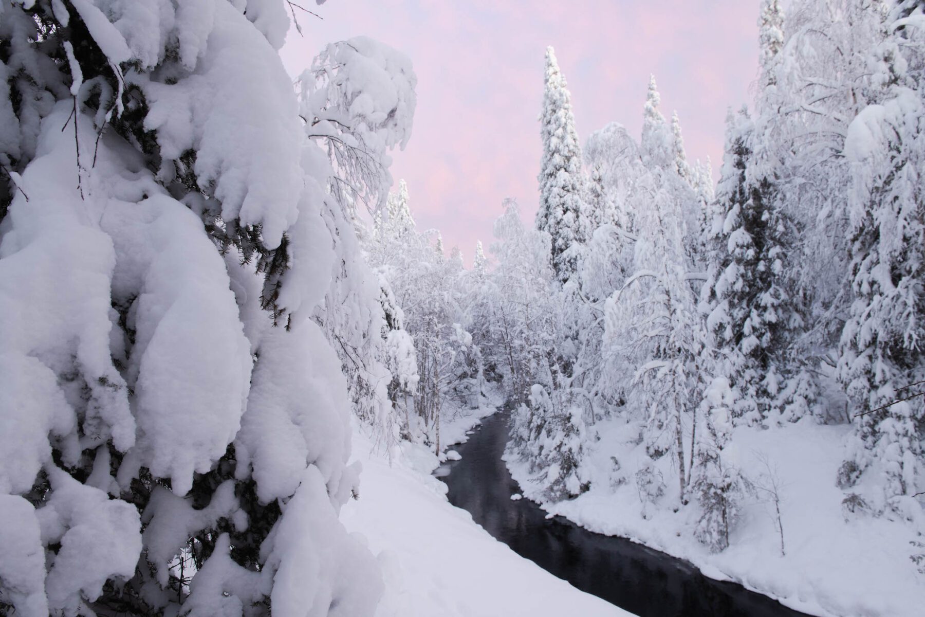 Lapland in de winter