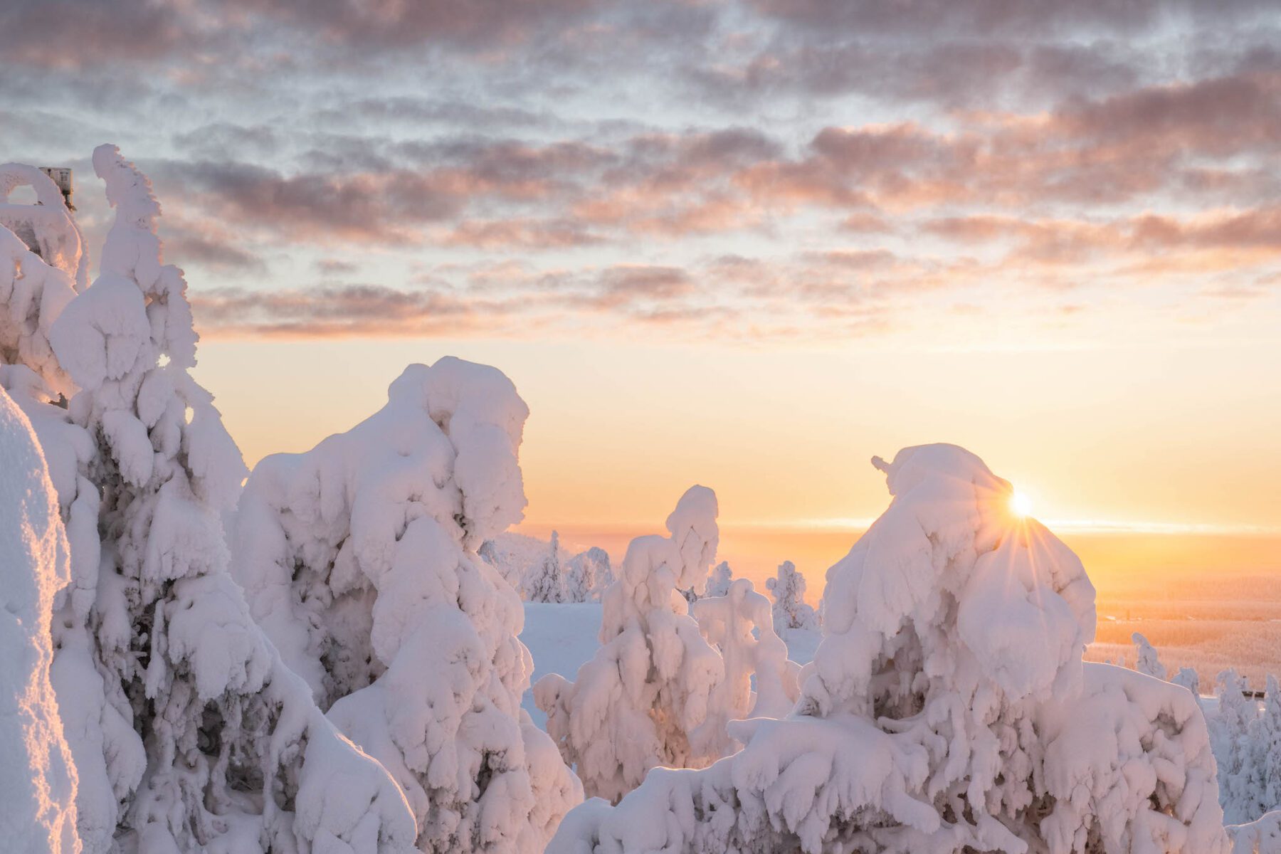 Zoveel sneeuw in Lapland in de winter. Perfect om te wintersporten