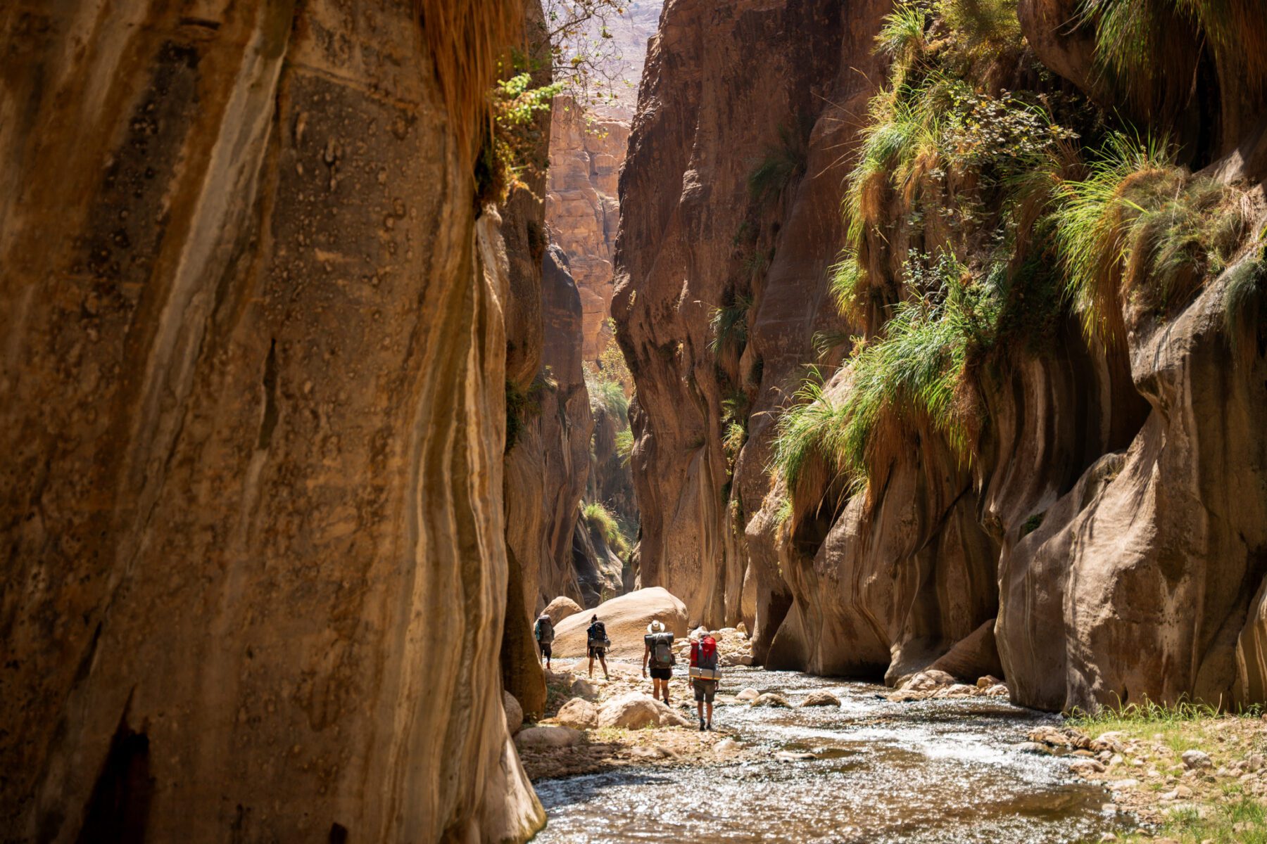 Een tweedaagse trekking in Wadi Hasa, Jordanië