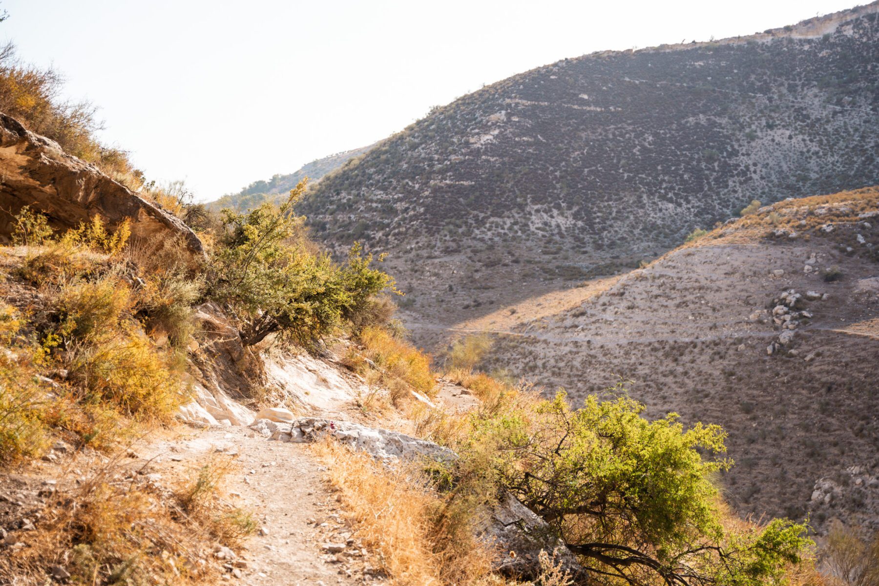 De eerste meters op de Jordan Trail