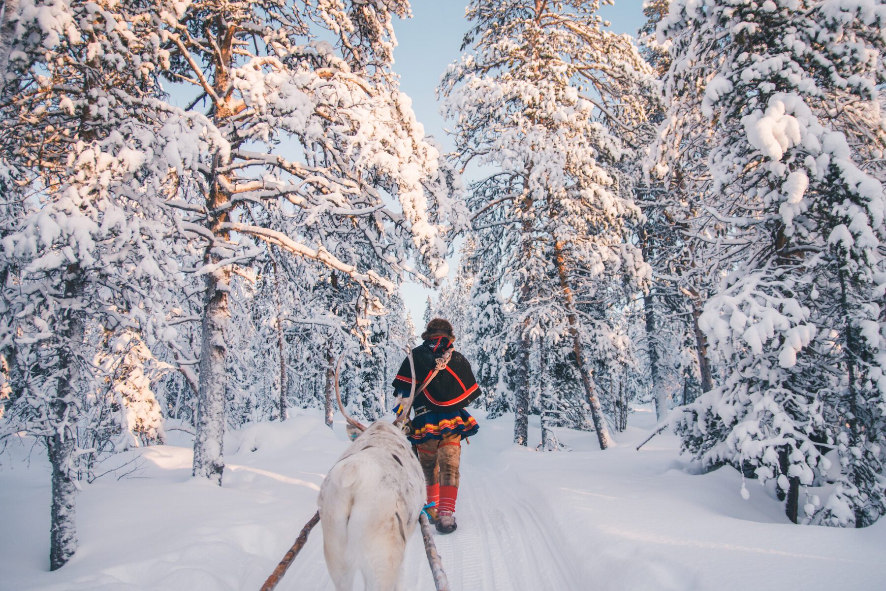 Lapland in de winter