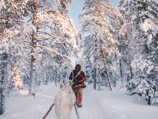 Lapland in de winter