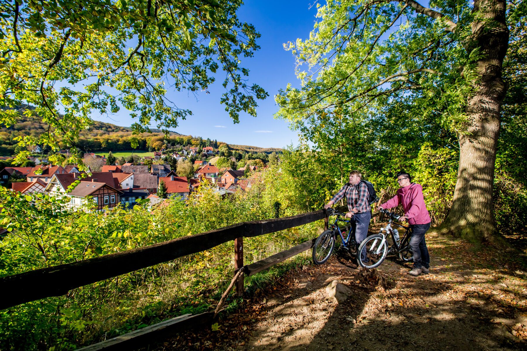 Uitzicht over Ilsenburg
