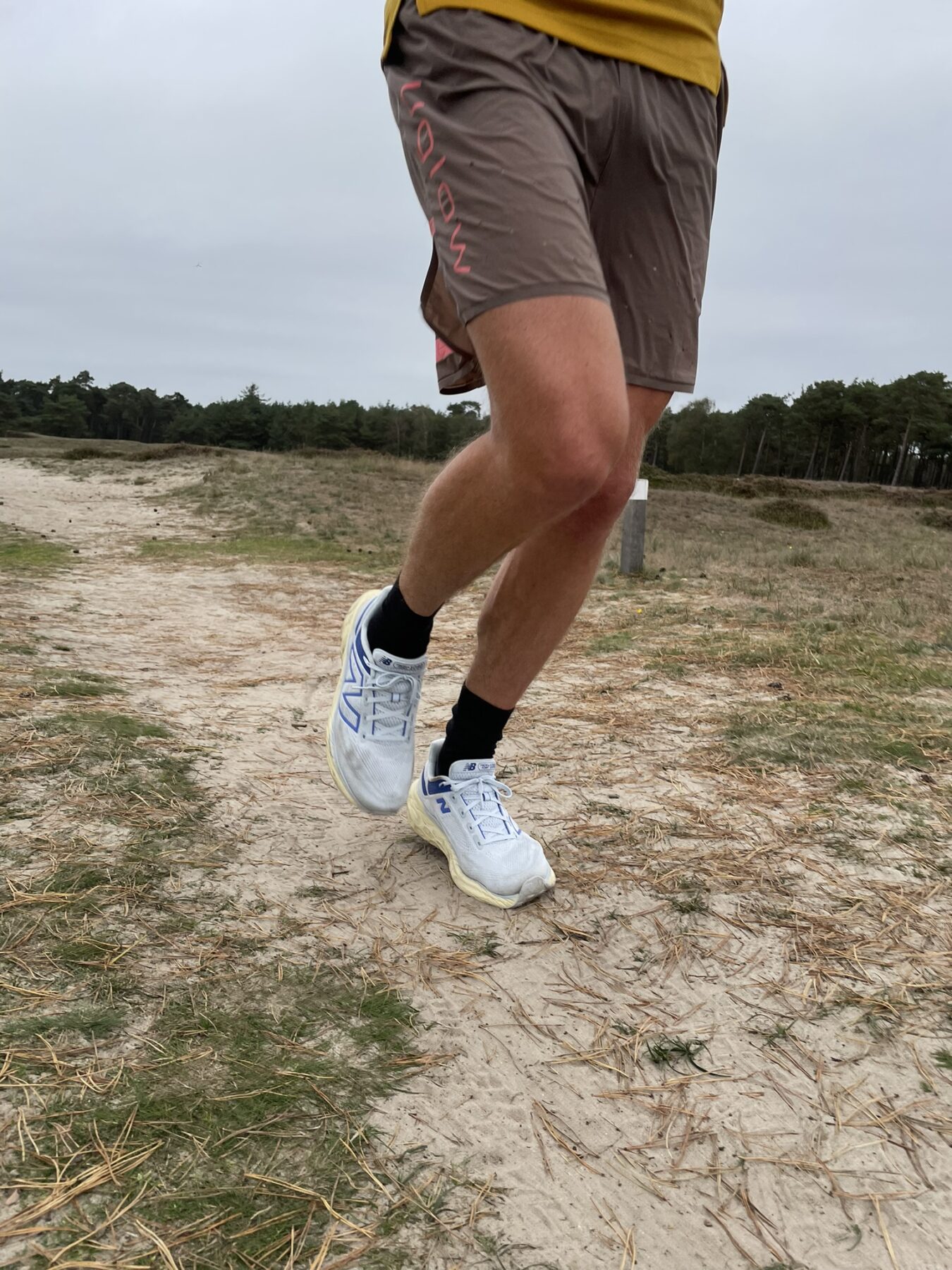 Trailen door de bossen in Zeist op de New Balance FreshFoam X 1080xv13