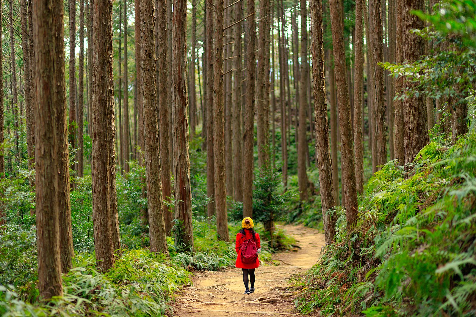 Wandelen over een van de Kumano Kodo pelgrimsroutes is een aanrader voor outdoor Japan