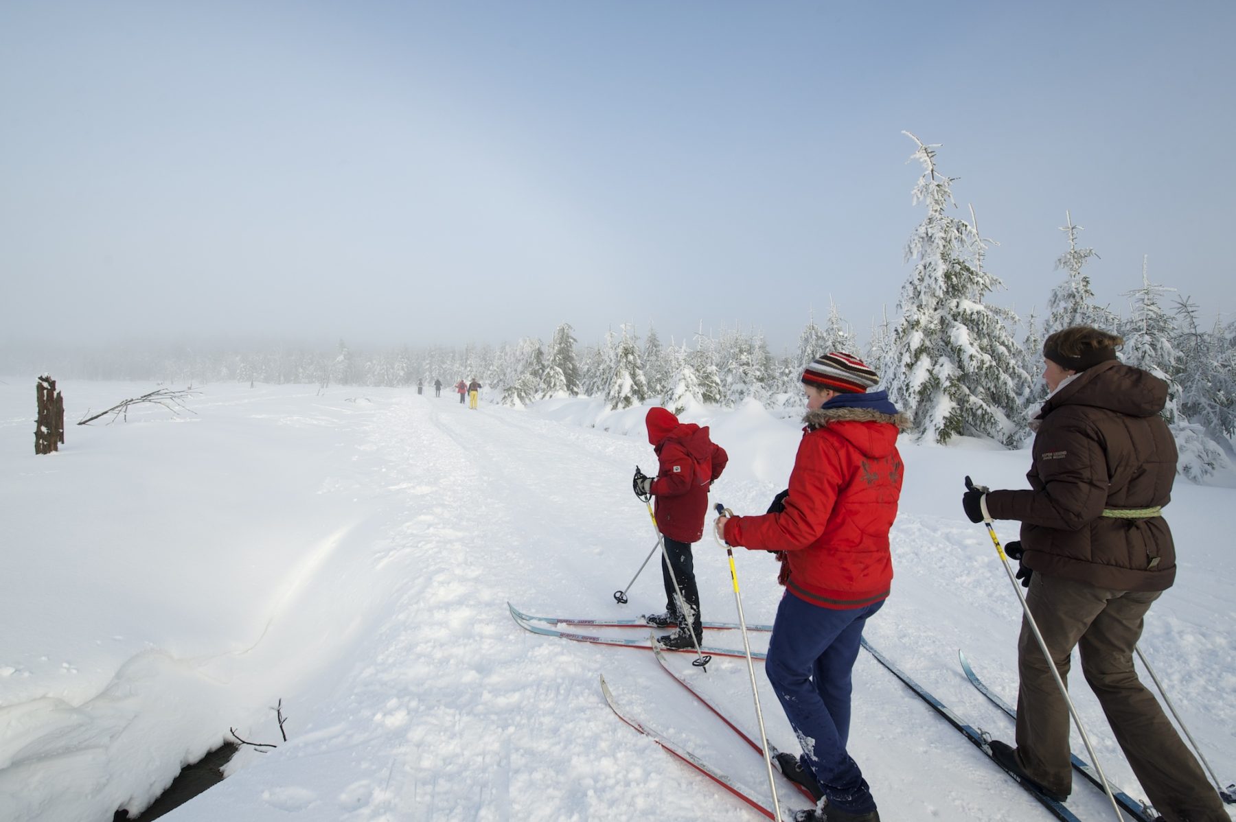 Op de piste skiën in de Ardennen