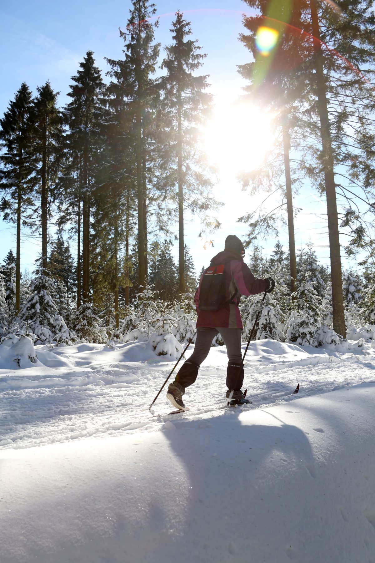 Skiën in de Ardennen