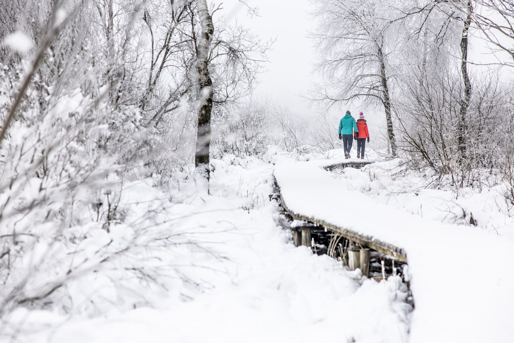 Sneeuwschoenwandelen na het Skiën in de Ardennen