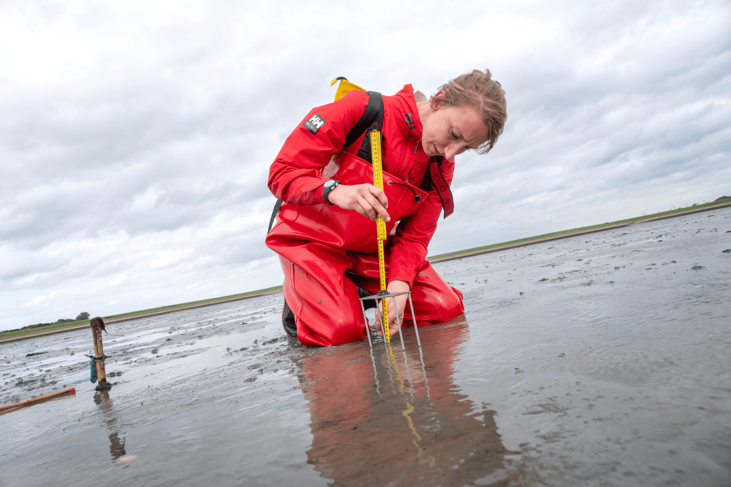 Een Sea Ranger die bezig is met het aanplanten van zeegras.