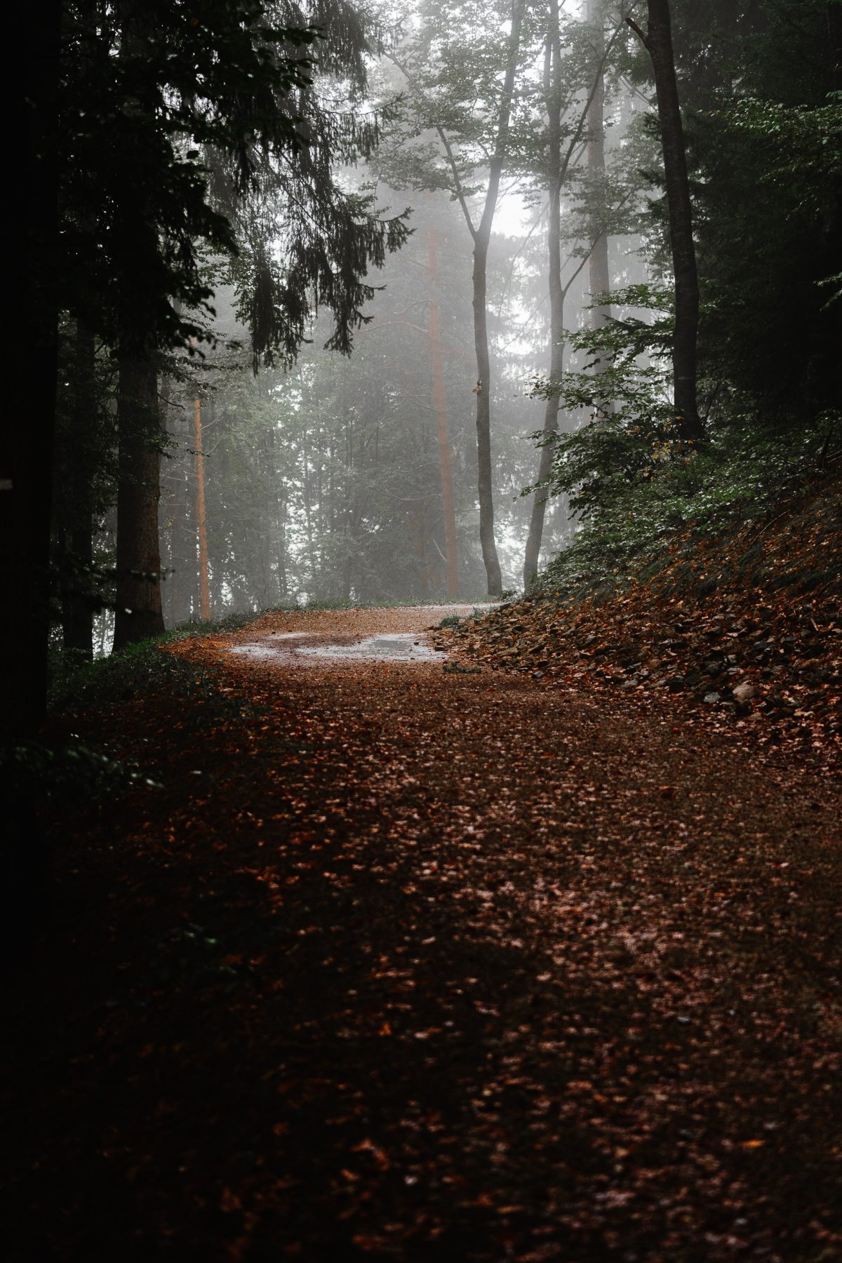 Wandeling Renon/Ritten bij Bolzano/Bozen