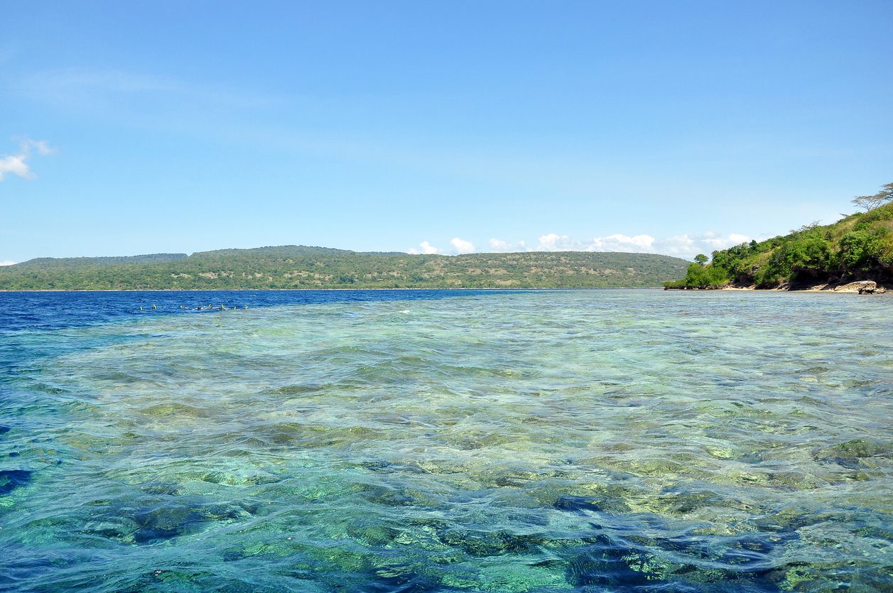 Het West Bali National Park op Bali.