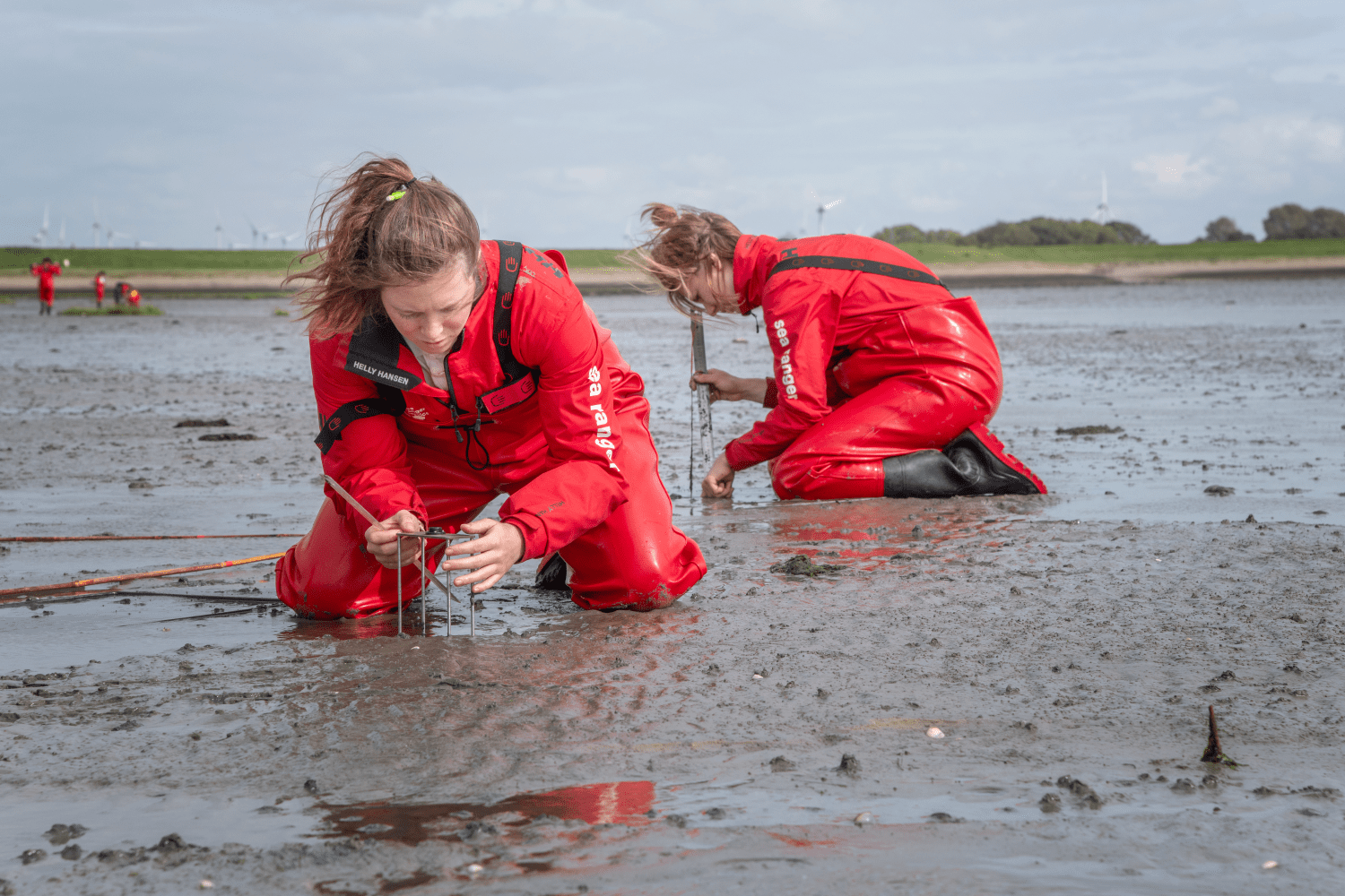 Jongeren bezig met het herstellen van het mariene leefgebied met Sea Ranger Service.