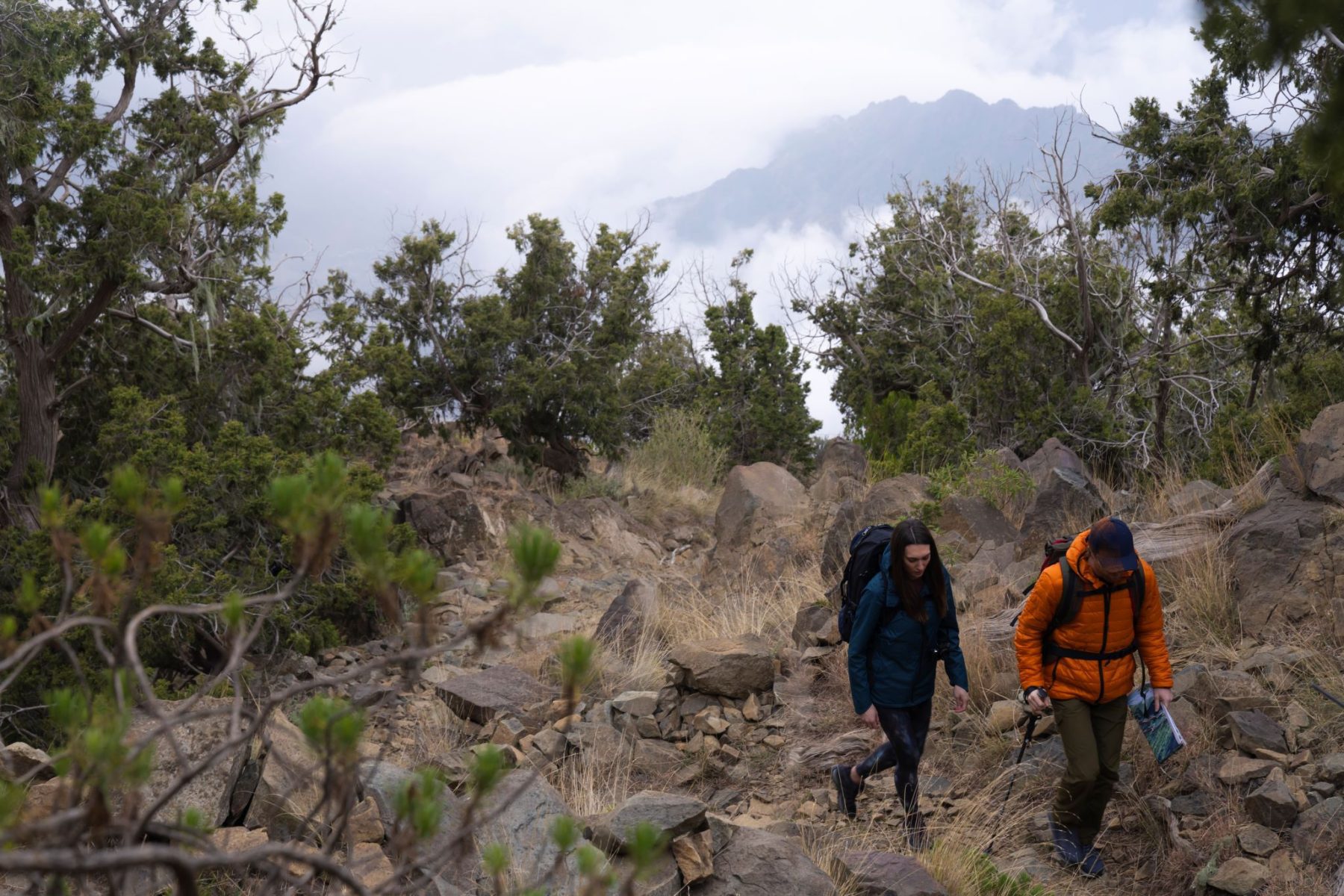 Hiking in Aseer