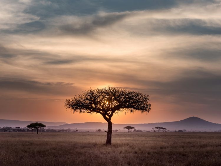 Tanzania Serengeti