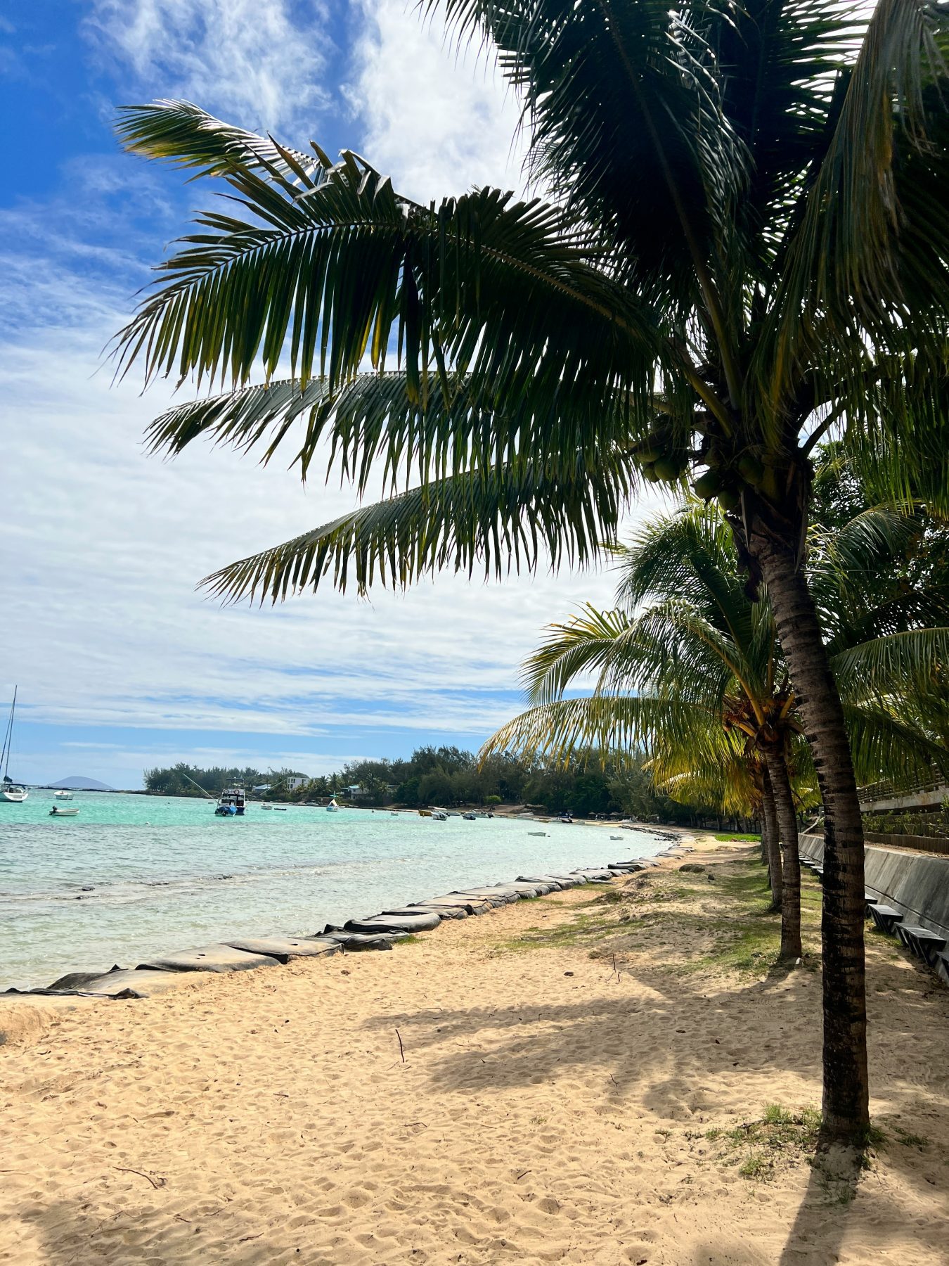 Palmbomen op Bain Boeuf Public Beach in Grand Bale, Mauritius.