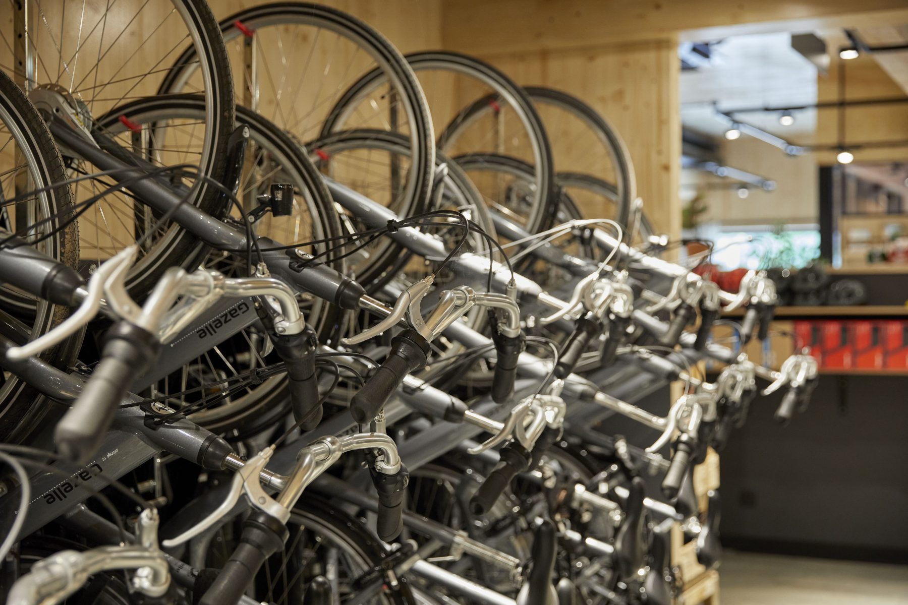 Gazelle e-bikes Roompot Eksel