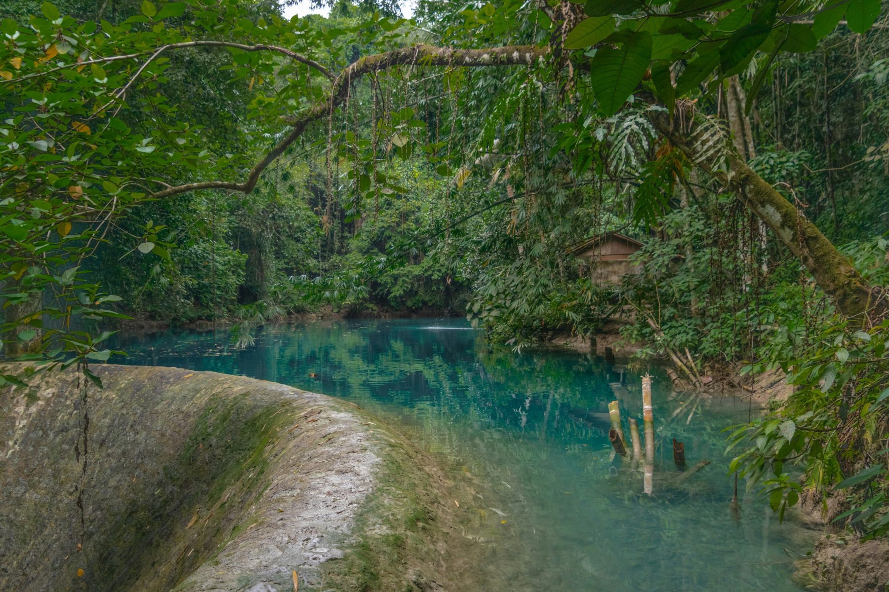 De Kawasan Falls.