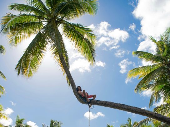 Een persoon in een palmboom op de Filipijnen.