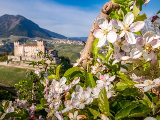 Een landschap met bloemen in Italië.