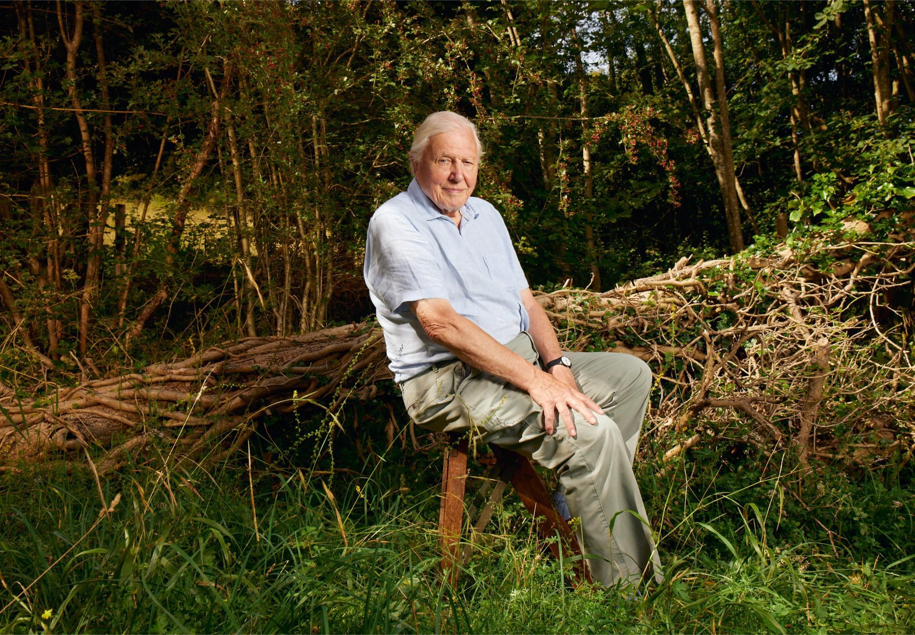 Sir David Attenborough midden in de natuur.