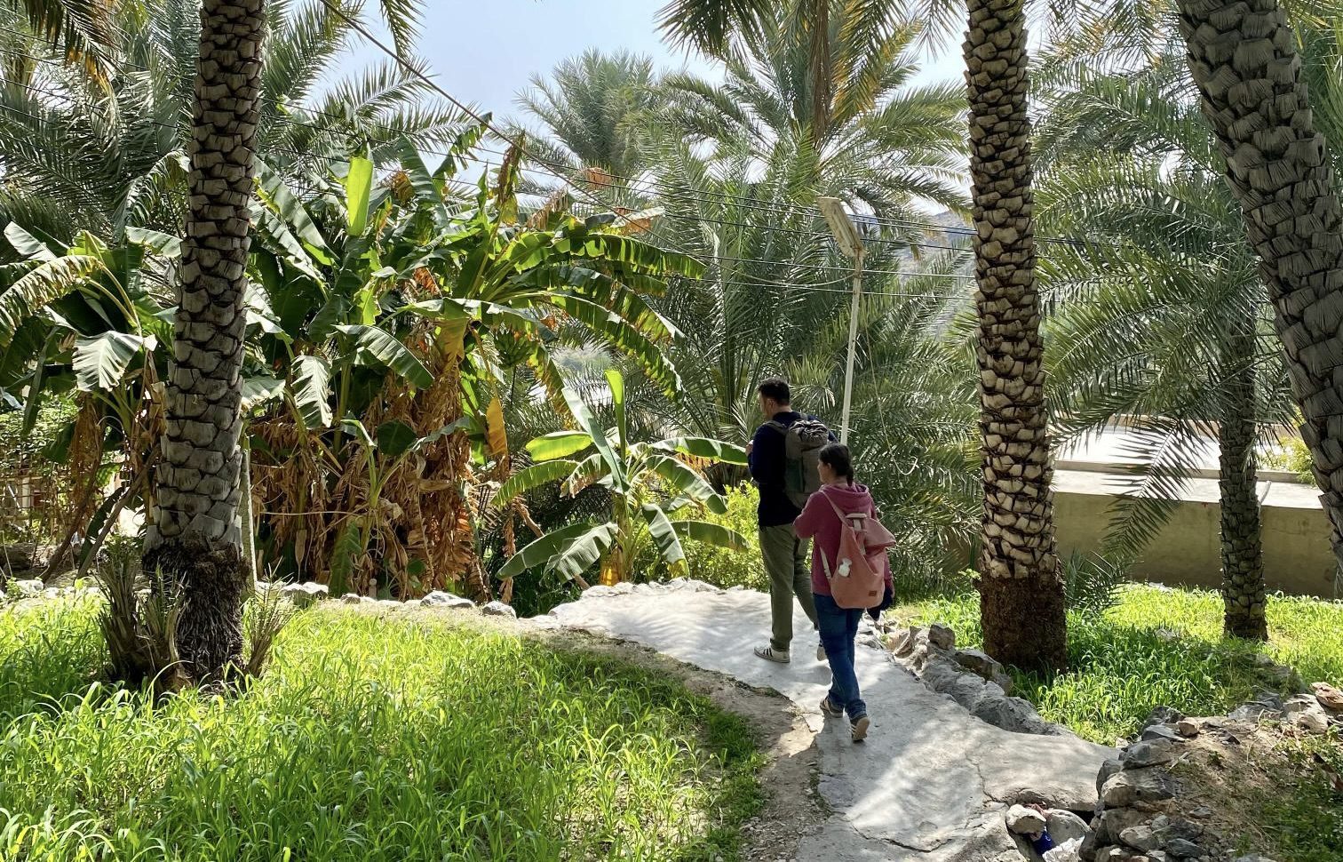 Route in Misfat Al Abriyeen, een geweldige hike in Oman.