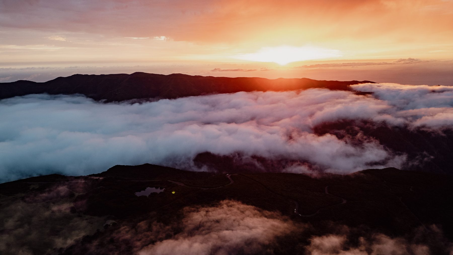 Fanal Forest bij zonsondergang op de Madeira Trail