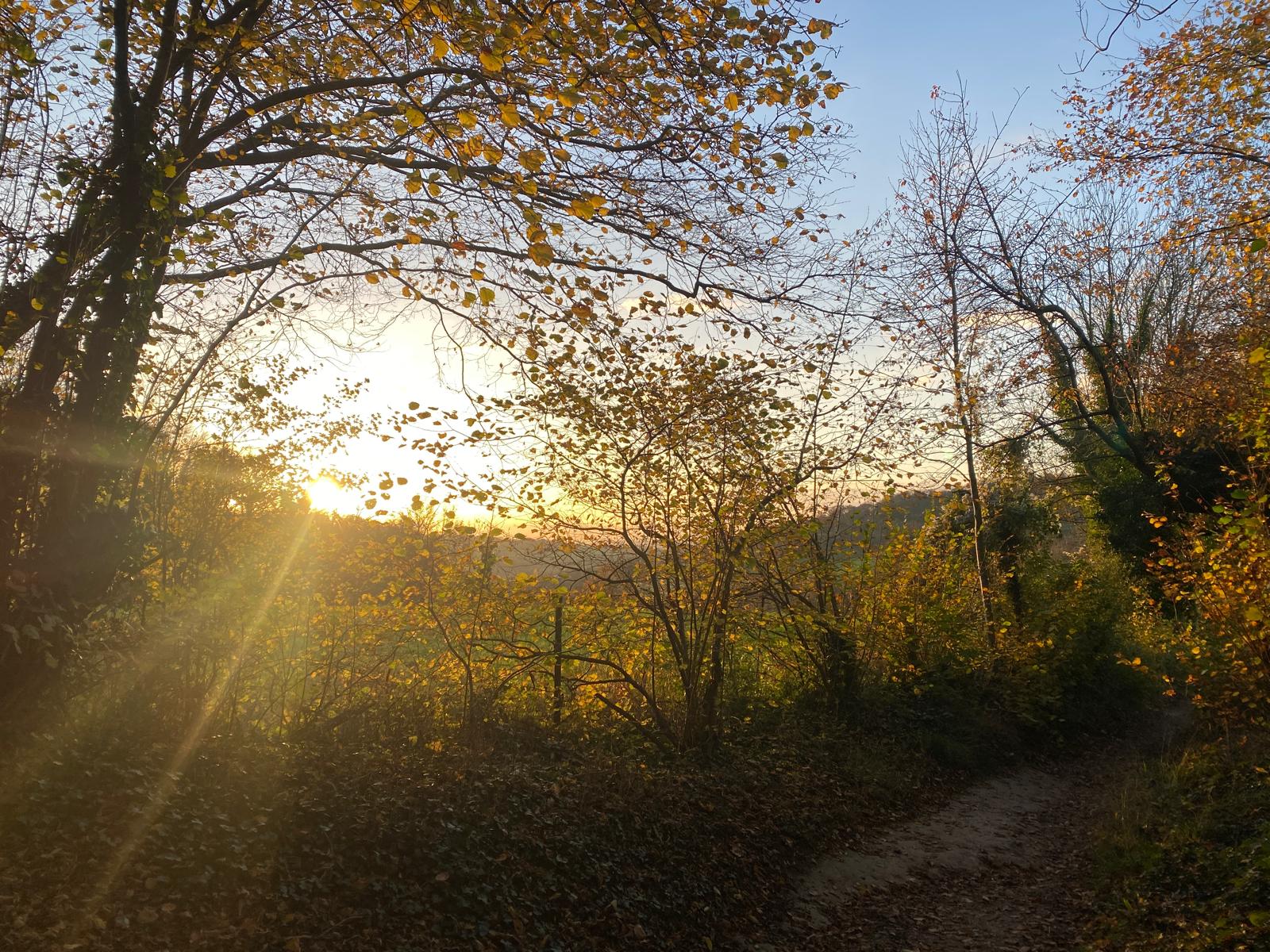 Zonsondergang in Zuid-Limburg