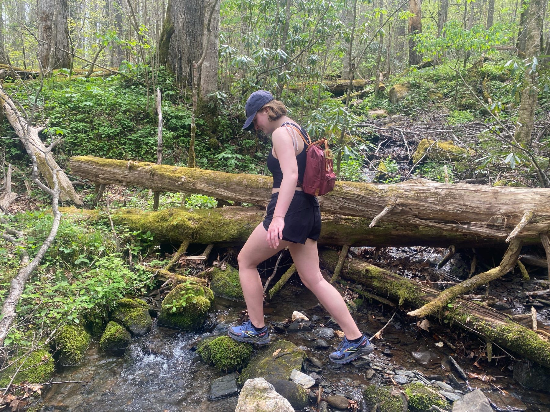 Brooks Cascadia 18 CTX