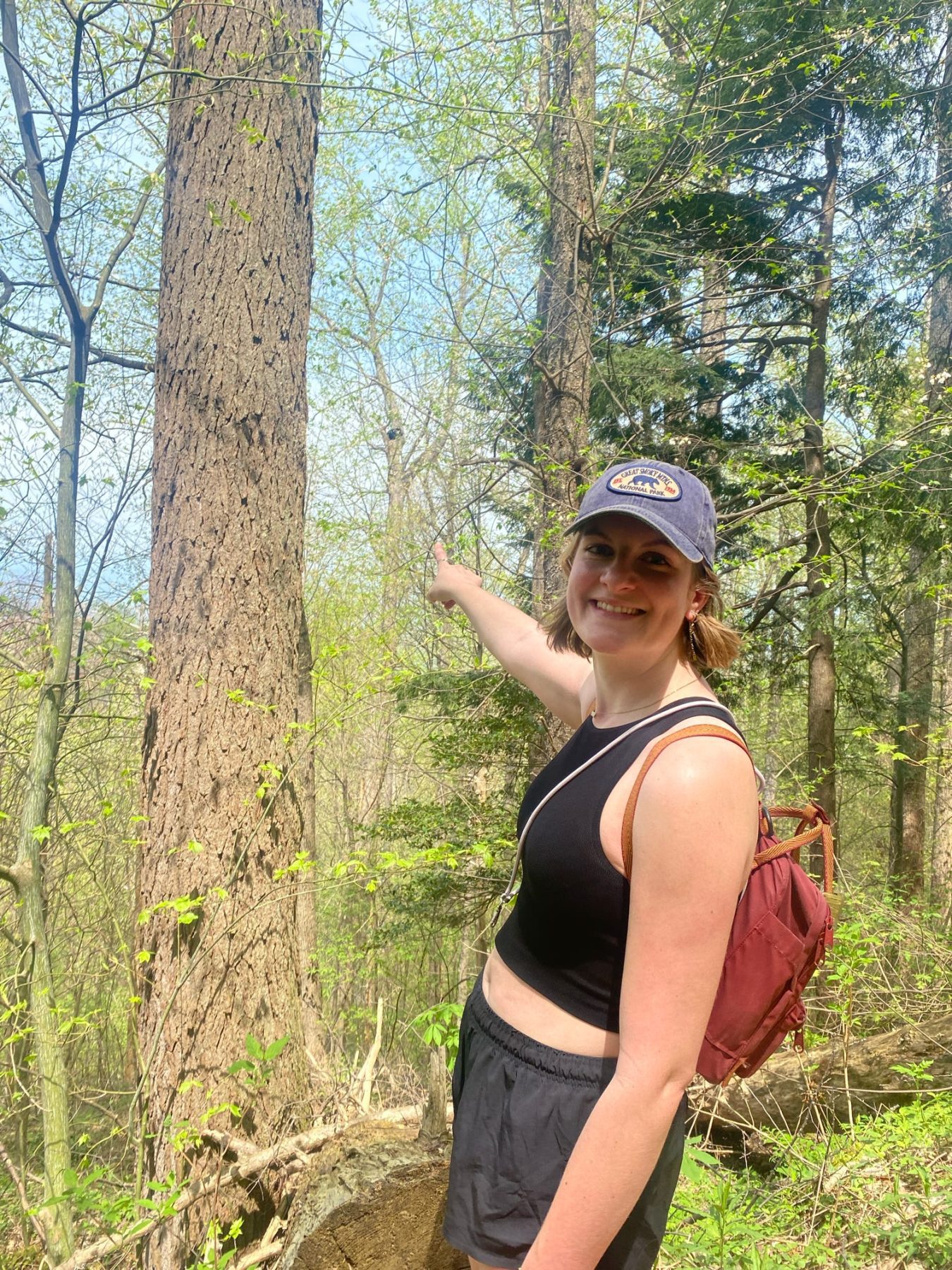 Beer in boom in Smoky Mountains
