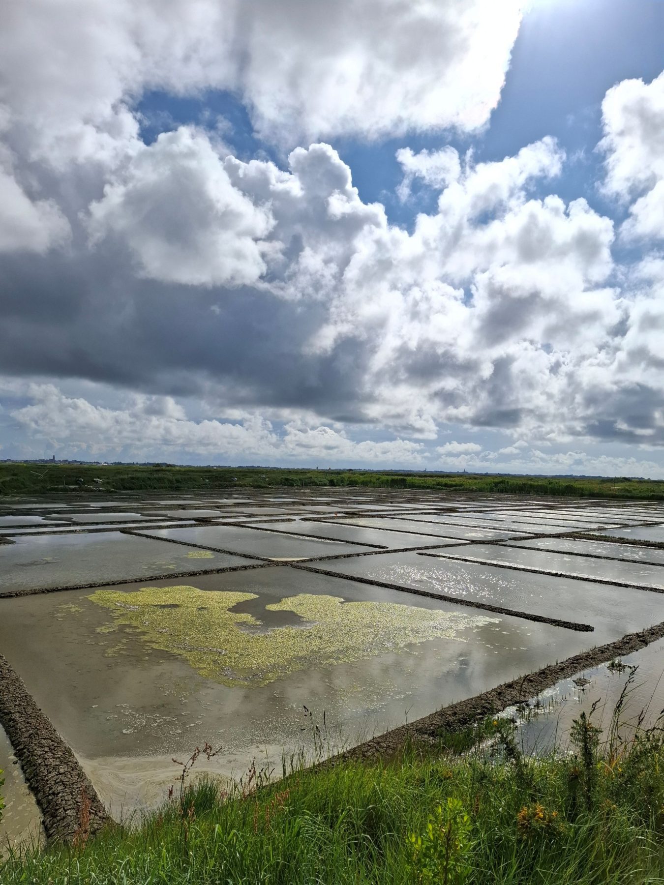 Zoutpannen in Guerande