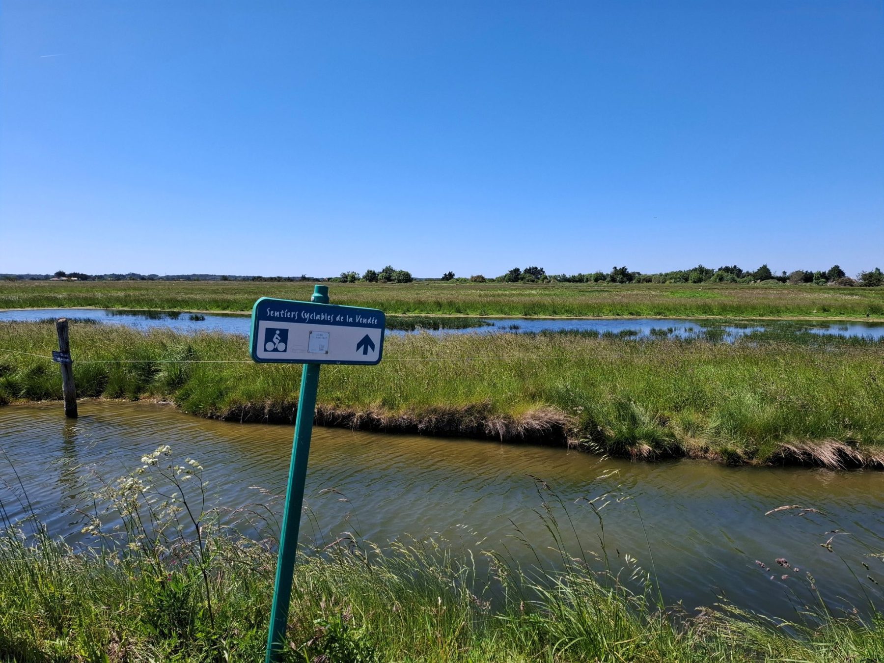 Fietsen Atlantische Loirestreek