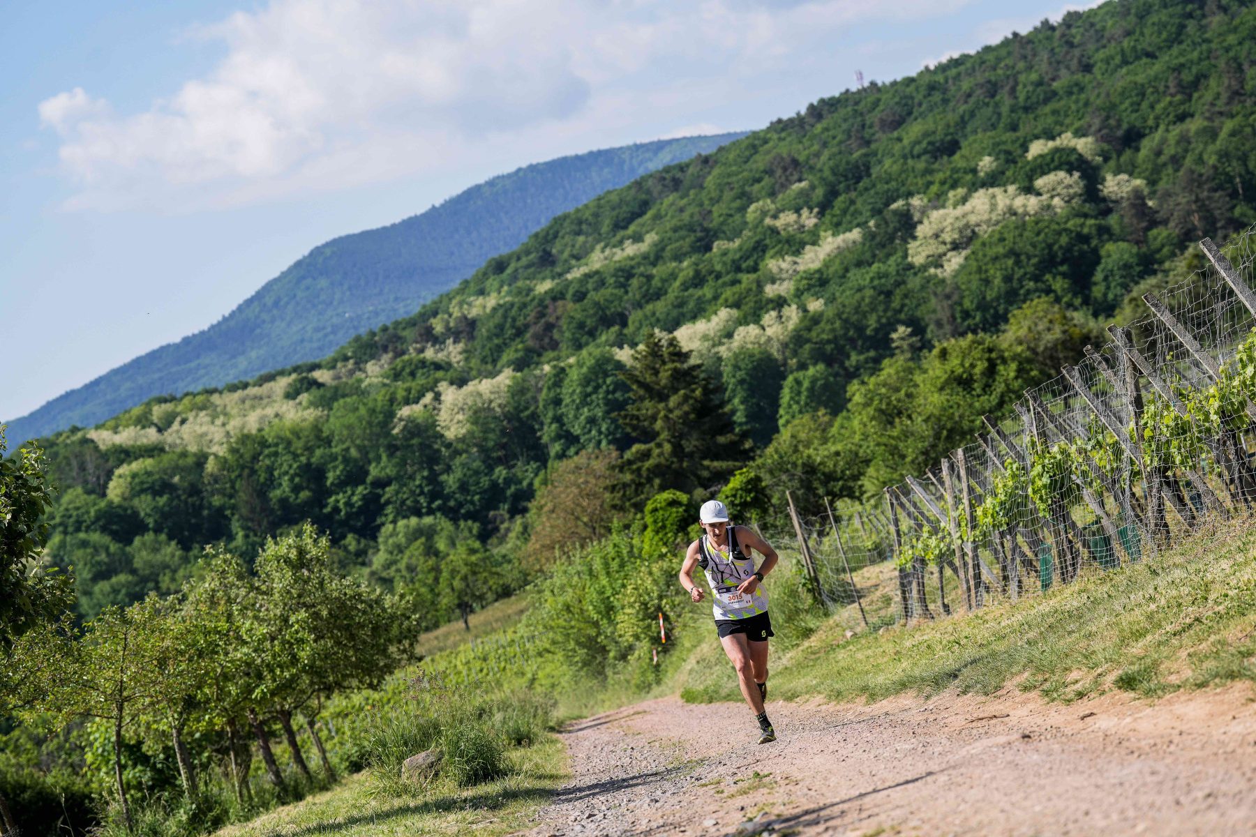 Solo trailrun tijdens Trail Alsace Grand Est by UTMB