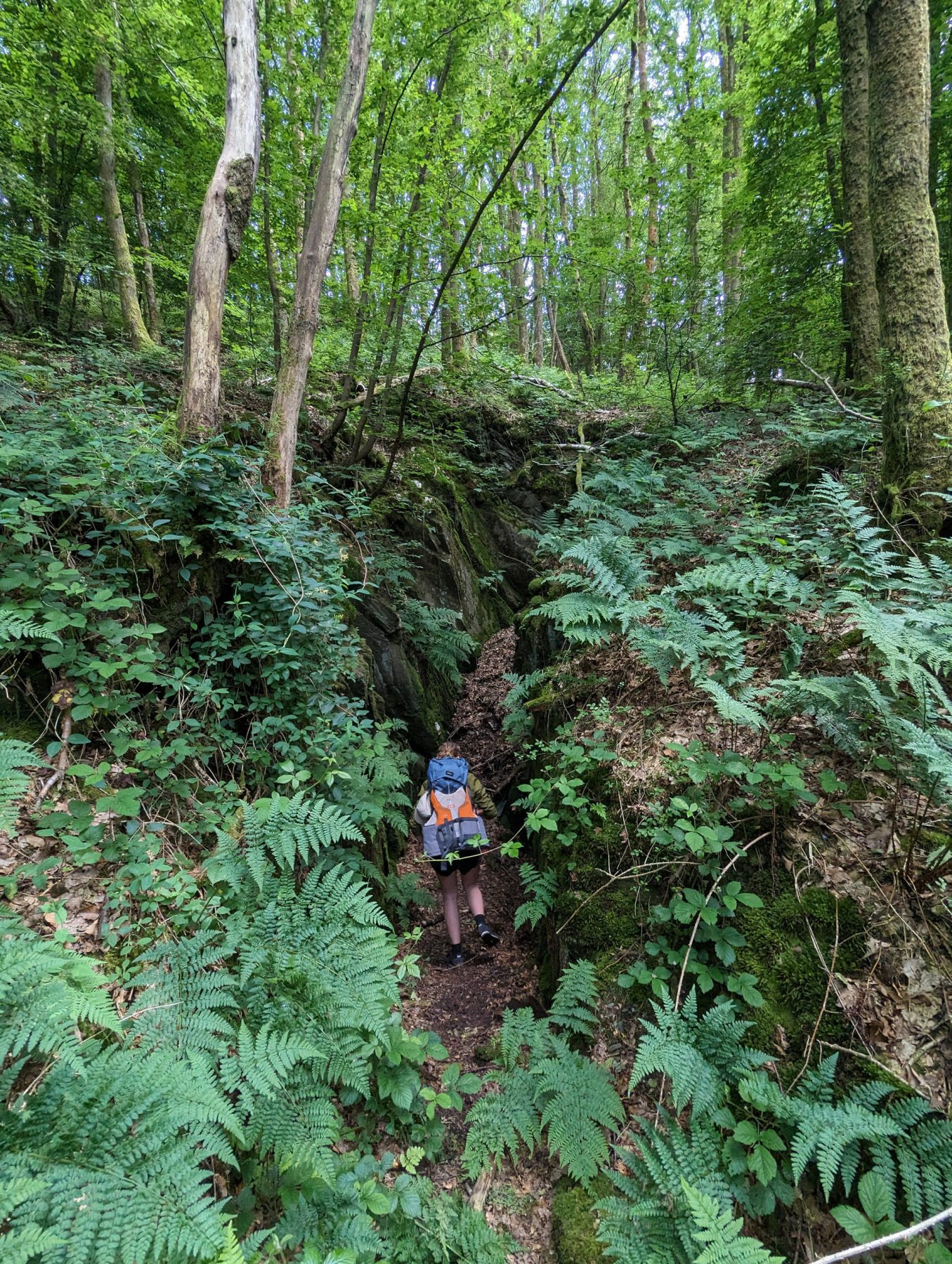 Wandelen in de Franse Ardennen