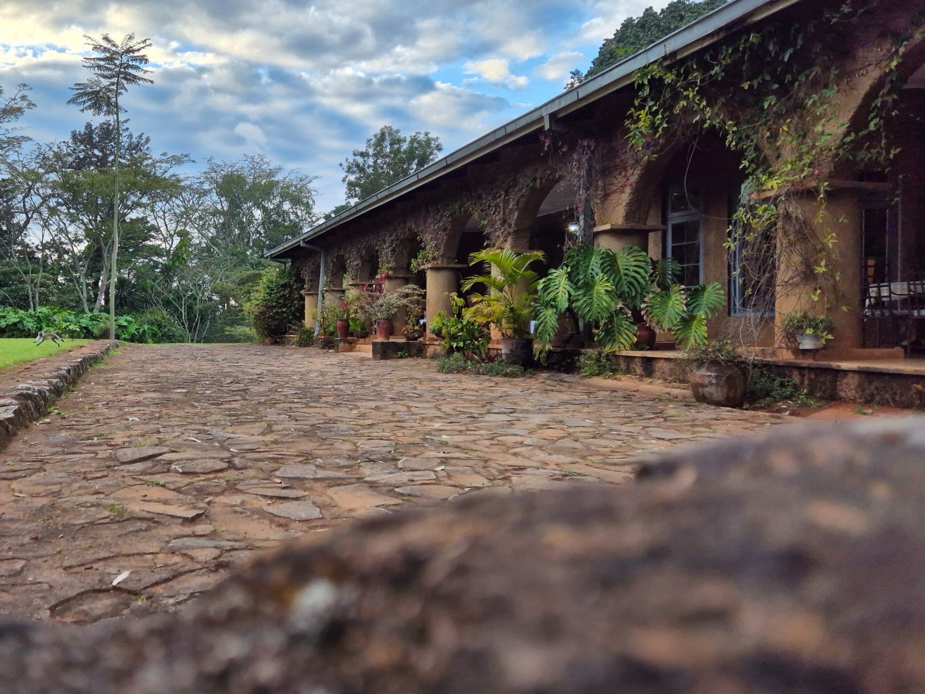 Het statige Huntingdon House op de Satemwa Tea Estate in Malawi