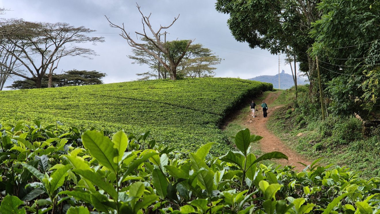 Ontdek de hightlights van Malawi