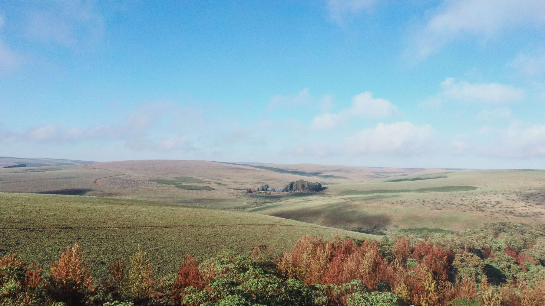 Nyaki National Park