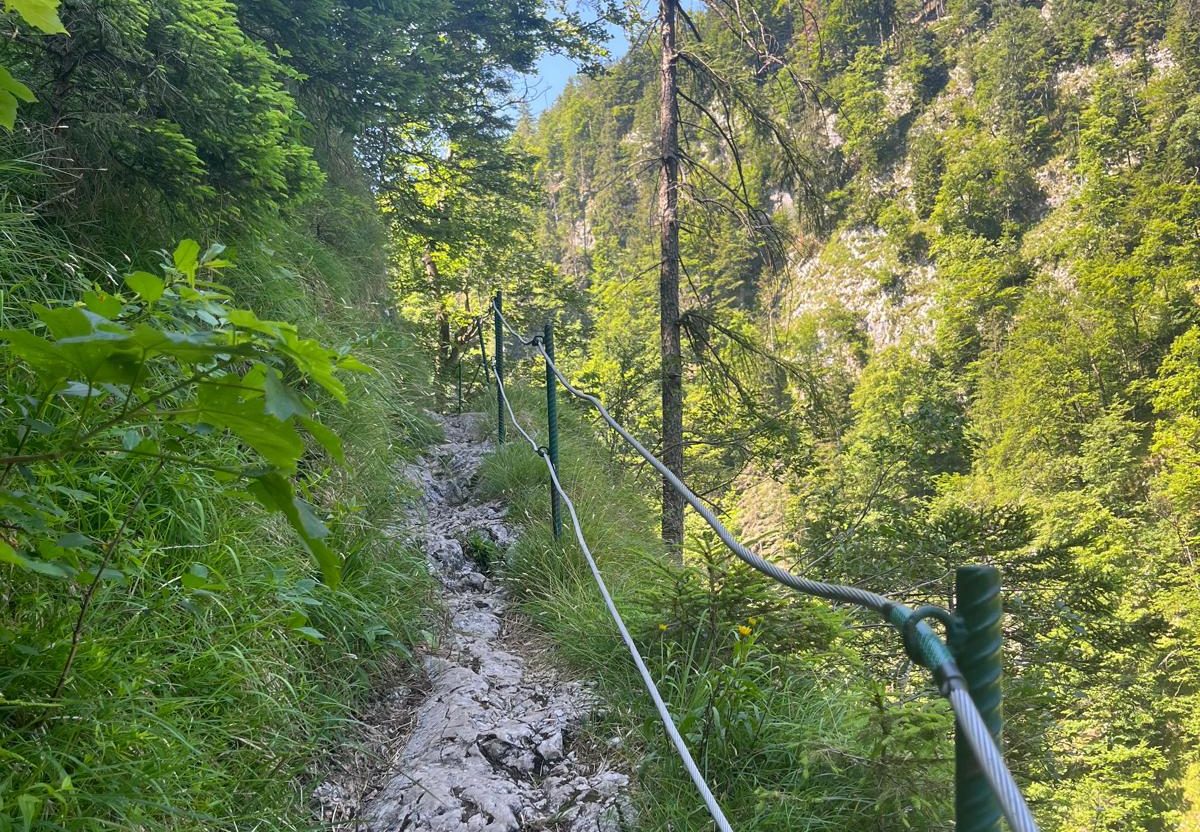 Een pad waarop ik wandelde tijdens mijn solo-hike.