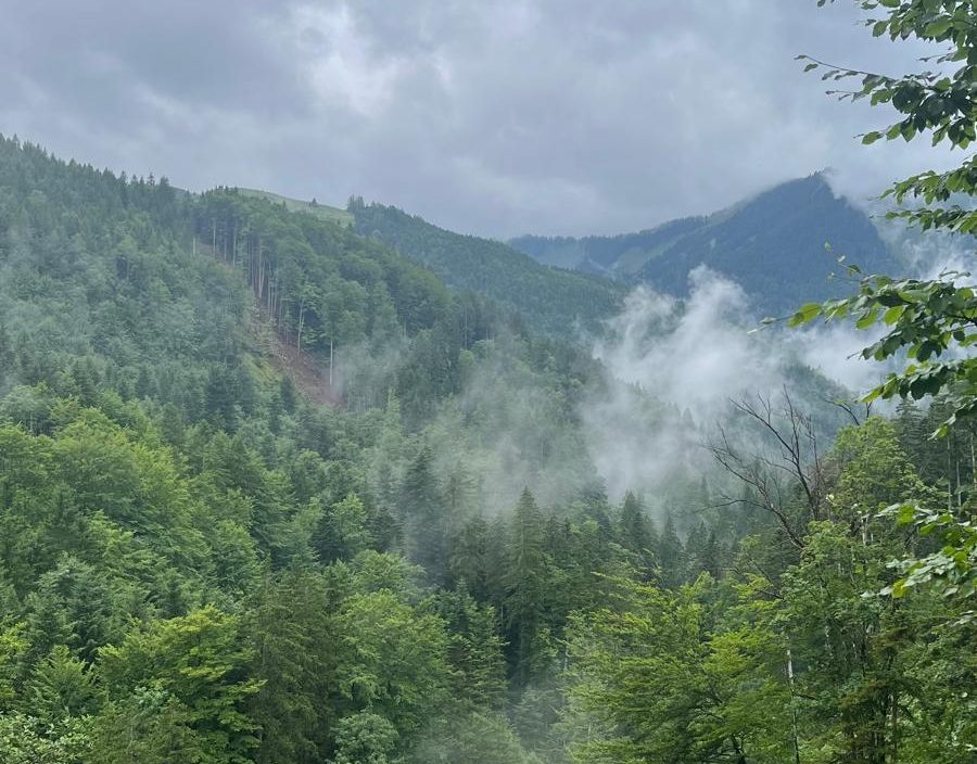 Uitzicht tijdens de wandeling op weg naar de berg Zwölferhorn.