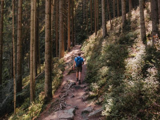 Coverfoto boek Hike de Benelux