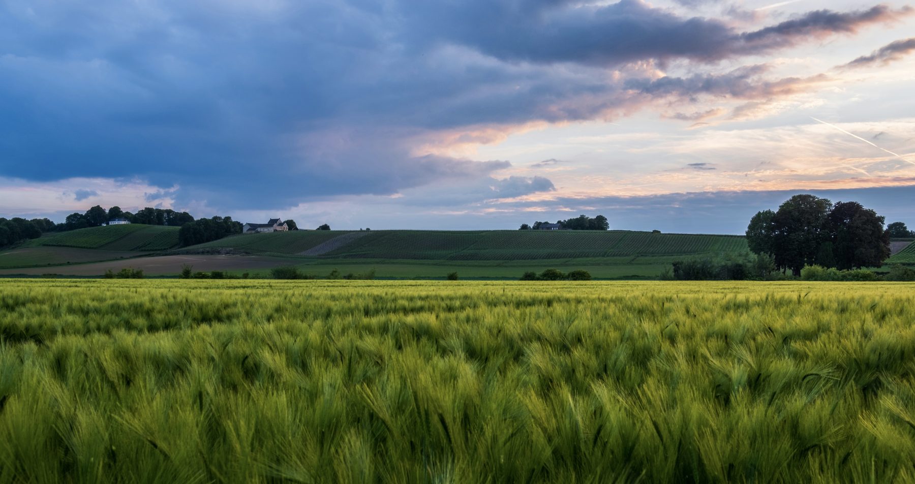 Een uitzicht over de groene velden van het Jekerdal.