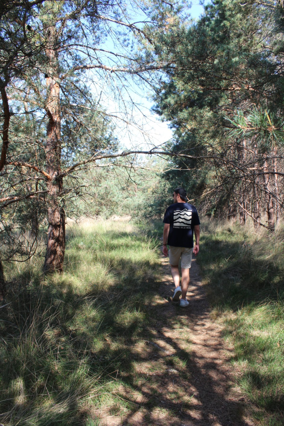 Wandeling in natuurgebied De Maashorst