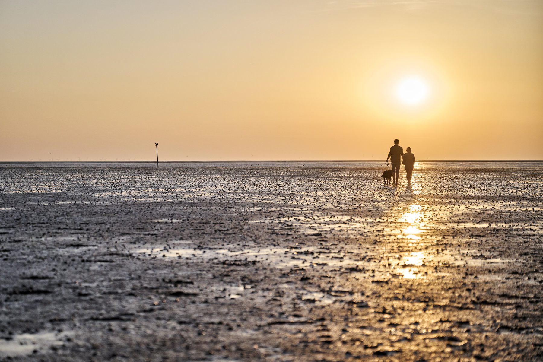 De mooiste natuurgebieden van Duitsland