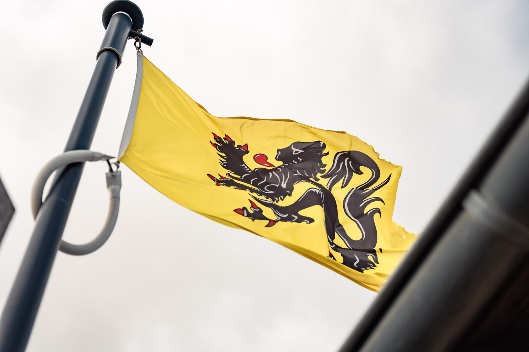 Vlaamse vlag