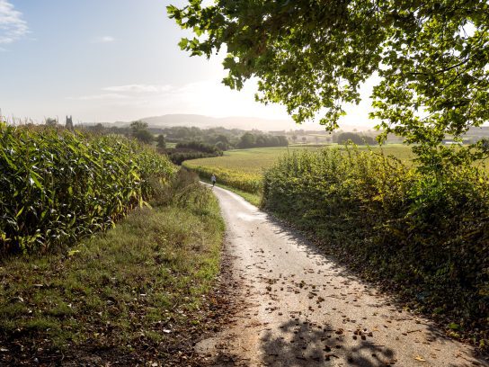 Fietsen in Westhoek